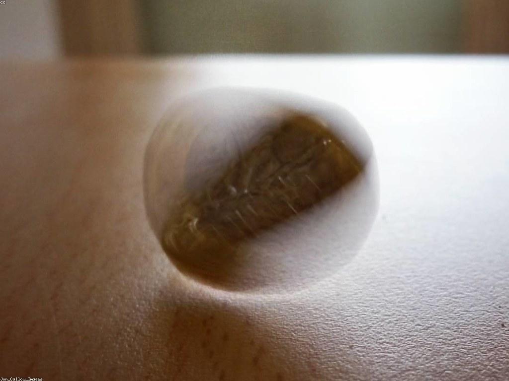 យល់ដល់ពីយន្តការនៃ Free Spin