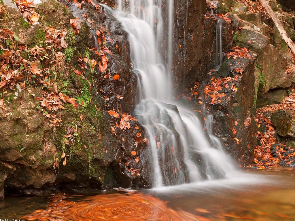 យុទ្ធសាស្ត្រដើម្បីស្វែងរក Free Spin ដោយការយកចិត្តទុកដាក់