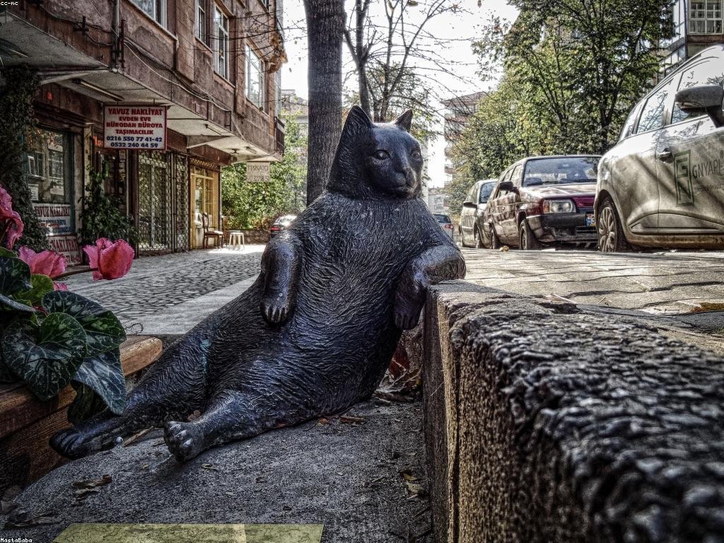 វិចារណកថាអំពី Free Spin